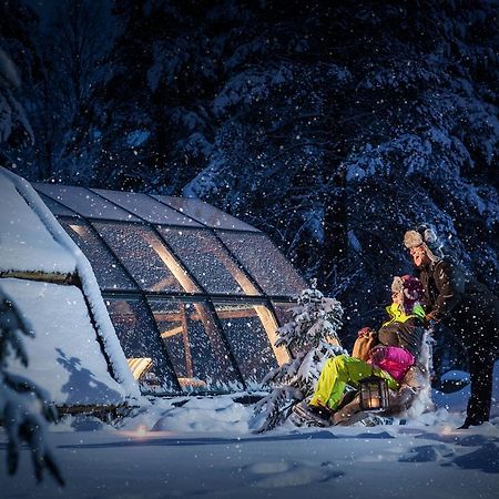 Lapland Igloo Hotel Ranua Værelse billede