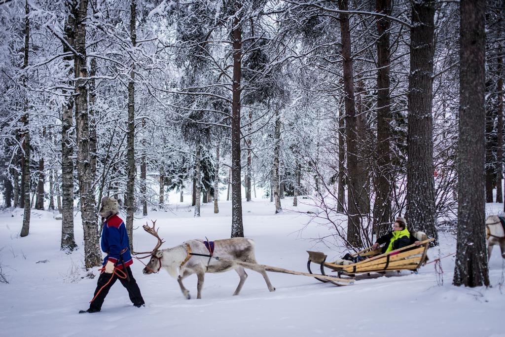 Lapland Igloo Hotel Ranua Eksteriør billede