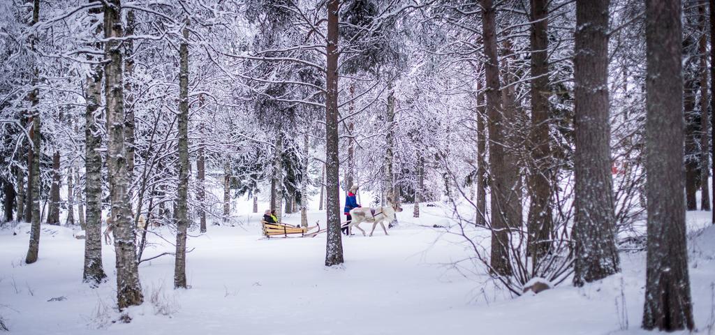 Lapland Igloo Hotel Ranua Eksteriør billede