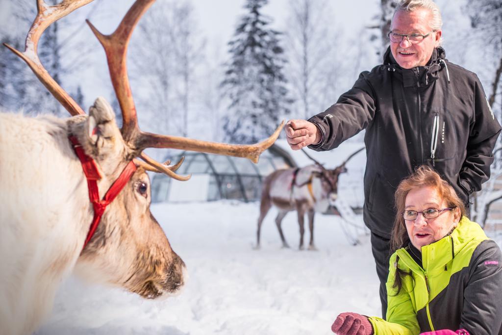 Lapland Igloo Hotel Ranua Eksteriør billede