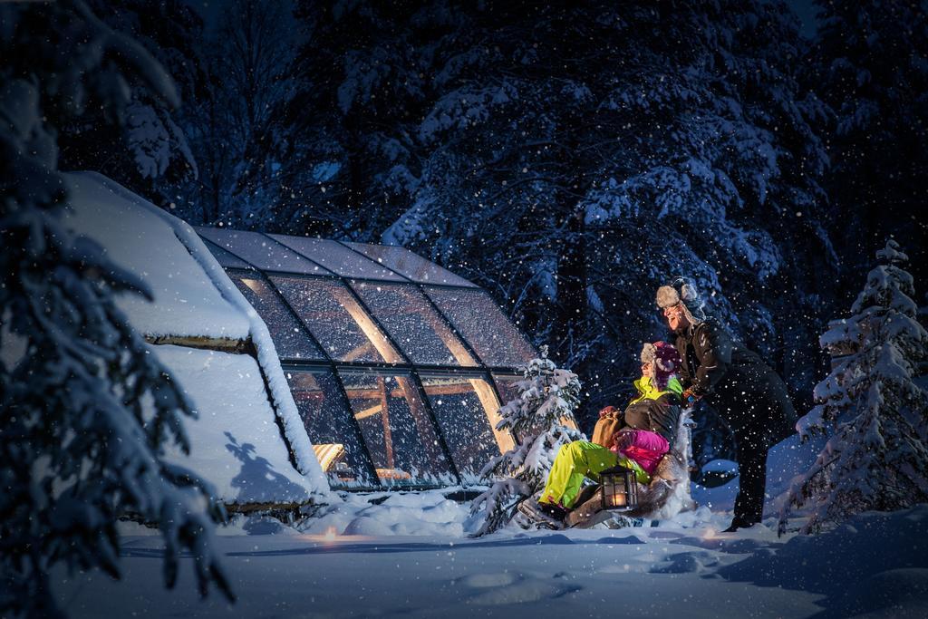 Lapland Igloo Hotel Ranua Værelse billede