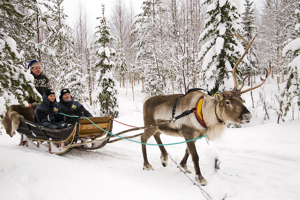 Lapland Igloo Hotel Ranua Eksteriør billede